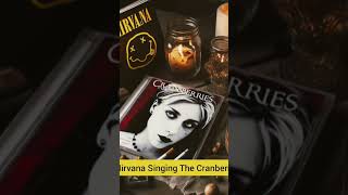 The Cranberries Com Kurt Cobain no Vocal/The Cranberries With Kurt Cobain on Vocals☀️🇮🇪 #metal