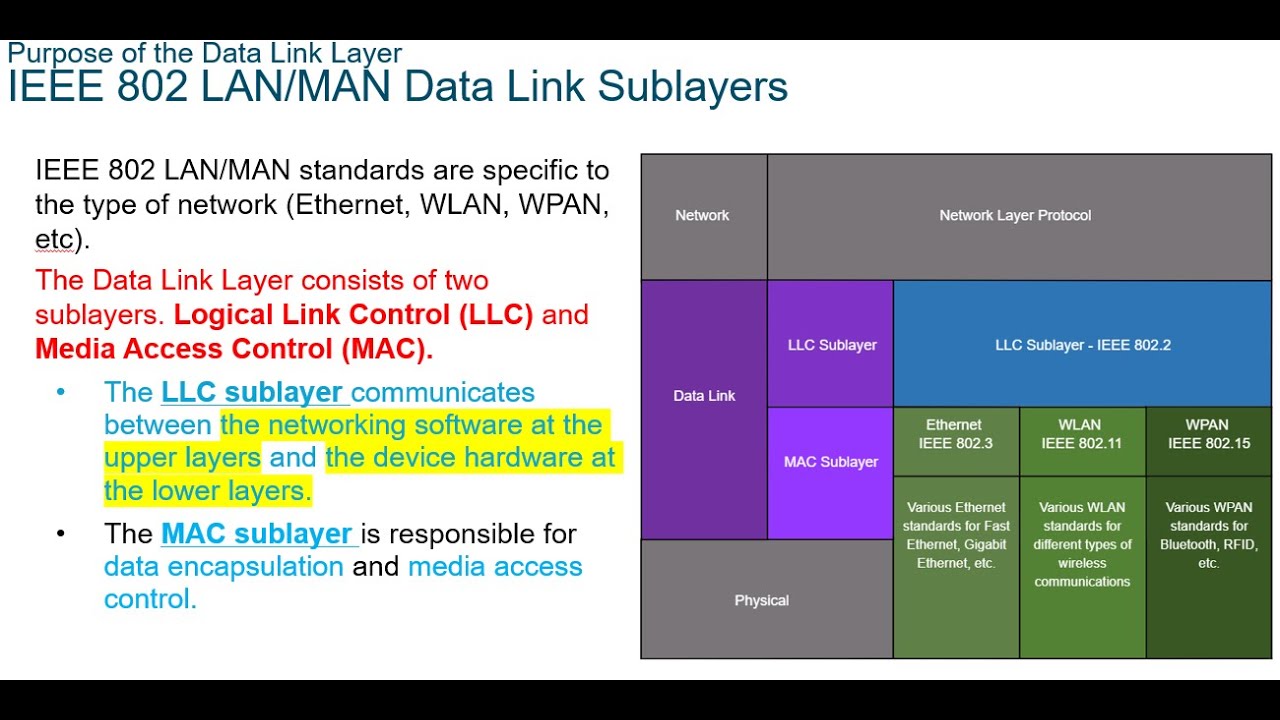 Data Link Layer : Purpose of the Data Link Layer - YouTube