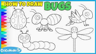 BUGS COMPILATION  How to Draw and Color for Kids  CoconanaTV