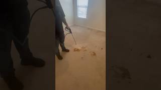 Carpet cleaning in Fort Mitchell, AL best vlog reels pets vomit asmr instavideo cleaning