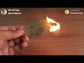How to get out mosquito without coil