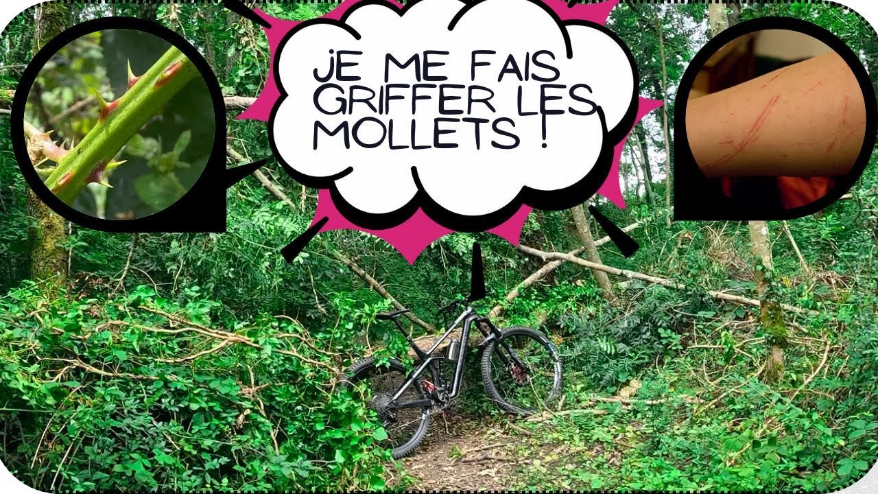 Des singles et des ronces