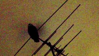 DRAKE - FREEZE THE WORLD INSTRUMENTAL