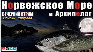 видео: Вечерний СТРИМ • Архипелаг и Море • Начало в 17:00 МСК • Русская Рыбалка 4 картинка: Вечерний СТРИМ • Архипелаг и Море • Начало в 17:00 МСК • Русская Рыбалка 4