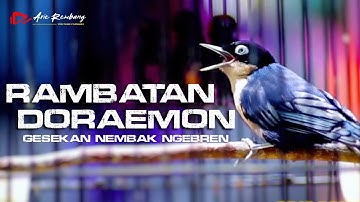 RAMBATAN DORAEMON GACOR FUL MATERI GESEKAN NGEBREN