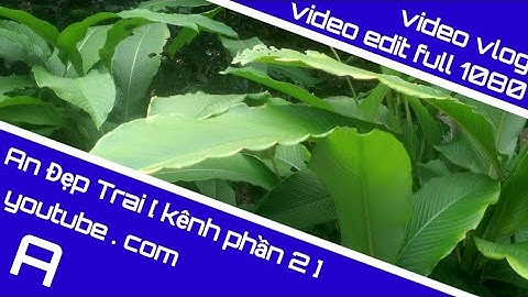 mấy cái đám bụi này nó ngày càng to hơn bình thường