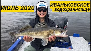 Рыбалка на Иваньковском водохранилище июль 2020, Судаки за 2 кг