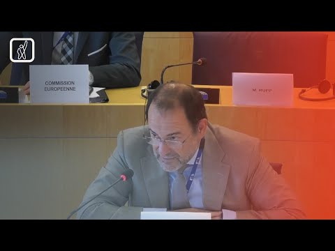 ევროკავშირ-საქართველოს საპარლამენტო ასოცირების კომიტეტის სხდომა