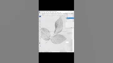 Print Design Separation | Design Separation In Photoshop