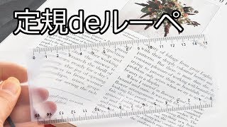 【ノベルティ】定規deルーペ