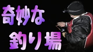 【閲覧注意】養殖所で団子釣りしてみた。 2話【釣り禁止】