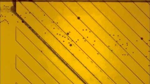 Vector separation of particles and cells using an array of slanted open cavities