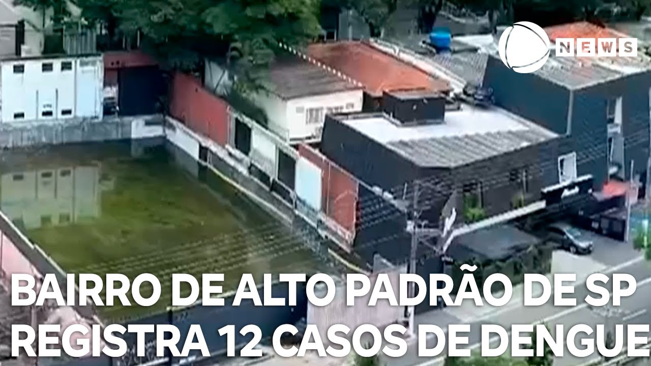 Bairro de alto padrão em São Paulo registra 12 casos de dengue