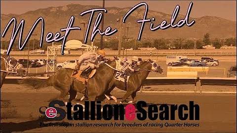 Meet The Field: 2025 All American Oaks(G1)- StallioneSearch.com