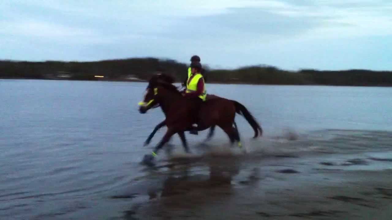 Strandgalopp 20/5-2013