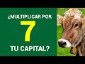 INVERTÍ EN EL CAMPO DESDE TU CASA CON BITCOW  ✅ | Emprender Simple