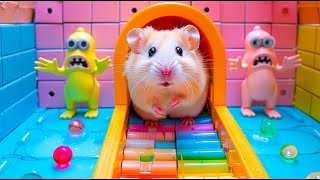 Hamster Maze Challenge The Most Difficult Maze Eve  DIY Hamster Maze