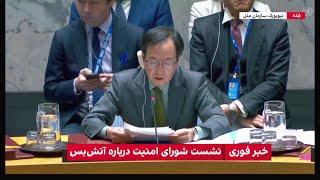 تصویب قطعنامه برای ایجاد آتش‌بس فوری در غزه در نشست شورای امنیت سازمان ملل