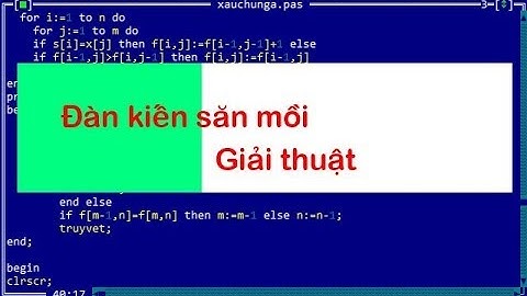Đàn kiến săn mồi - Ant - Thầy Quách Văn Lượm