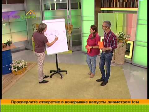 Планировка дачного участка. Час у дачи 11/09/2014 GuberniaTV Планировка дачного участка. Час у дачи 11/09/2014 GuberniaTV