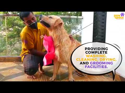 PawSpace Doorstep Pet Grooming - video from Pawspace