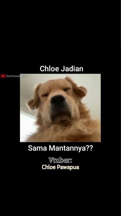Chloe Jadian sama Mantannya?? | Chloe Pawapua