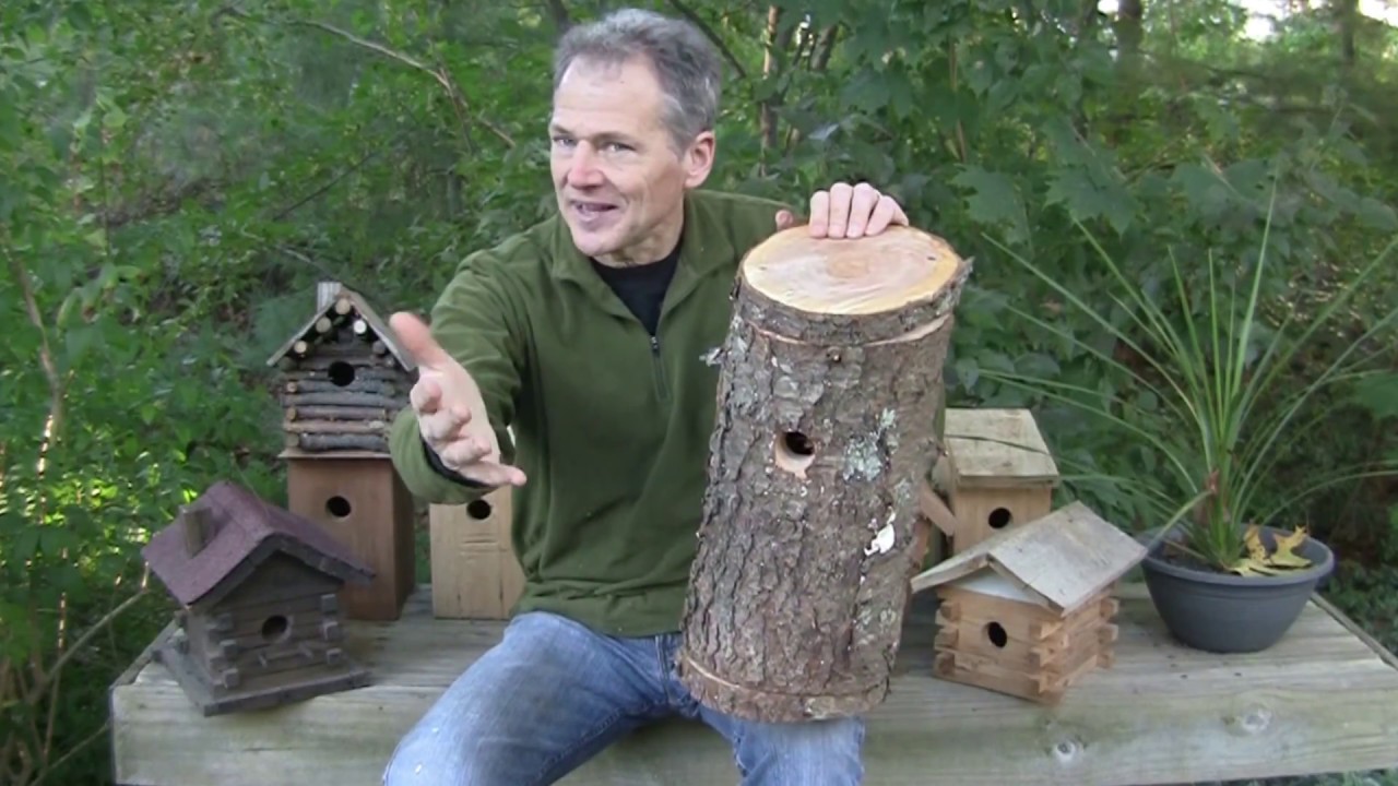 How to Build a Log Bird House....Unique design - YouTube