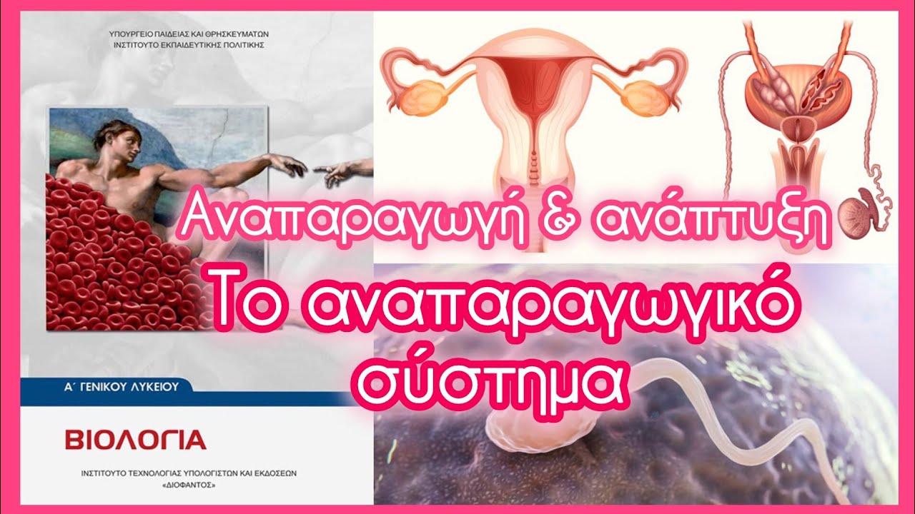Το αναπαραγωγικό σύστημα • Αναπαραγωγή & ανάπτυξη • Κεφ. 12.1