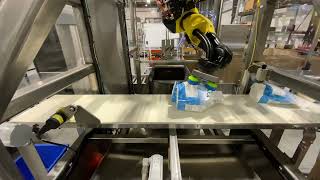 Hamrick Packaging Systems - Model CP10-R Robotic Case Packer for Flexible Pouches w/ Line Tracking