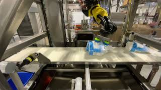 Hamrick Packaging Systems  Model CP10R Robotic Case Packer for Flexible Pouches w/ Line Tracking