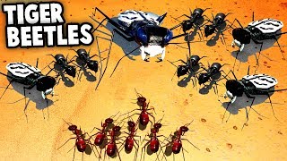 GIANT TIGER BEETLES & Army Ant Swarm!  IMPOSSIBLE!?  (Empires of the Undergrowth Gameplay)