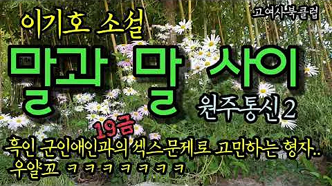 무협 소설 Txt