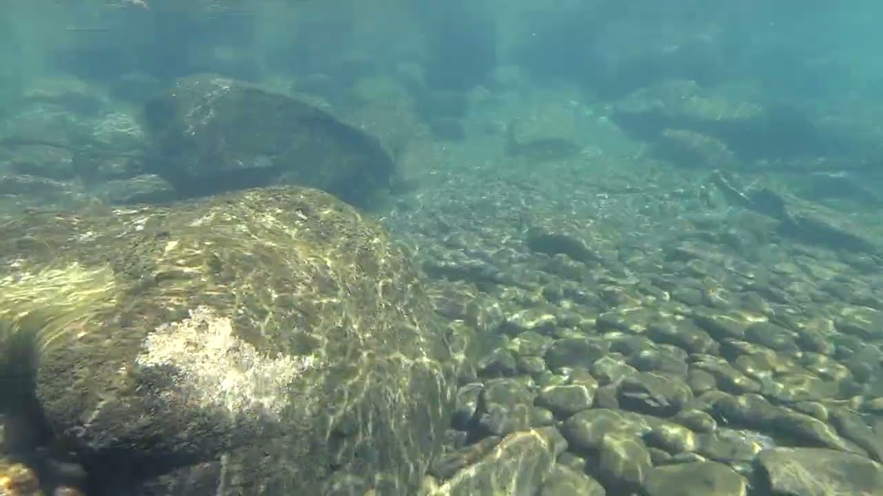 Fishing Report, Spokane River, June 20th 2025