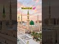 MashAllah 💕 Roza #newnaat #viral #islamicvideo