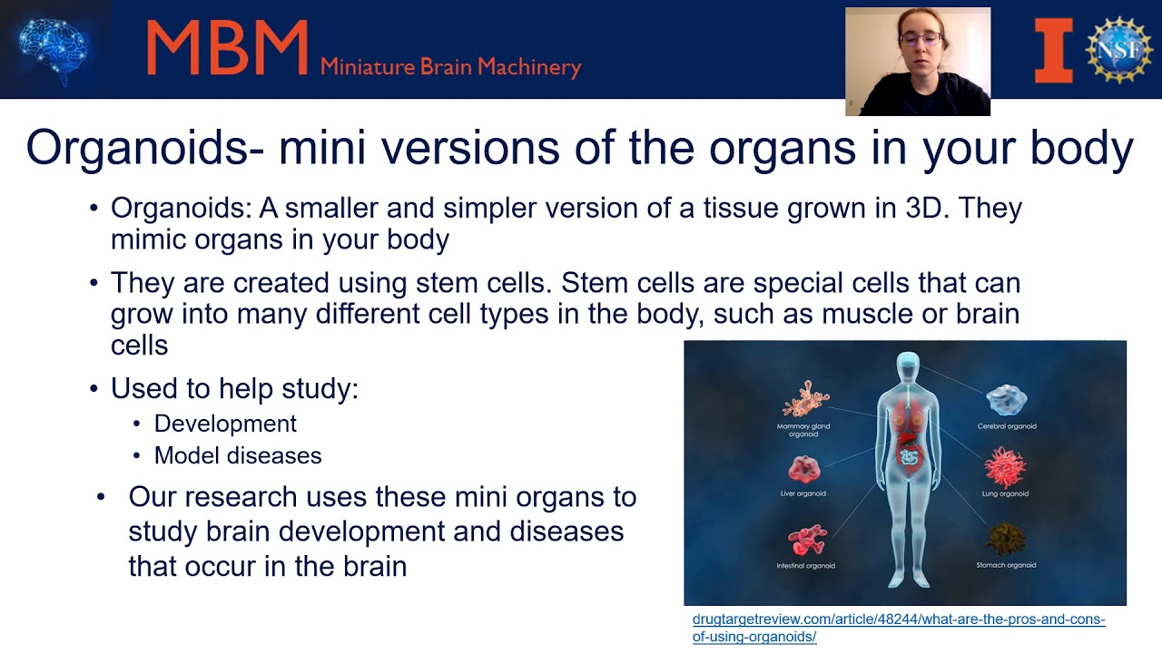 A screenshot from What Are Organoids?