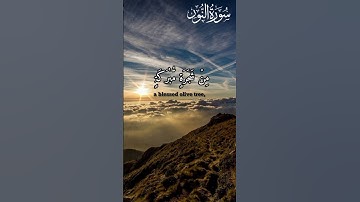 Surah An Noor سورة النور : Sheikh Muhammad Dibirov محمد دییبیروف English Translation #qaritilawat