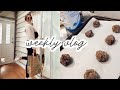 Molasses Cookies, Current Hair Care, Grocery Haul | Weekly Vlog