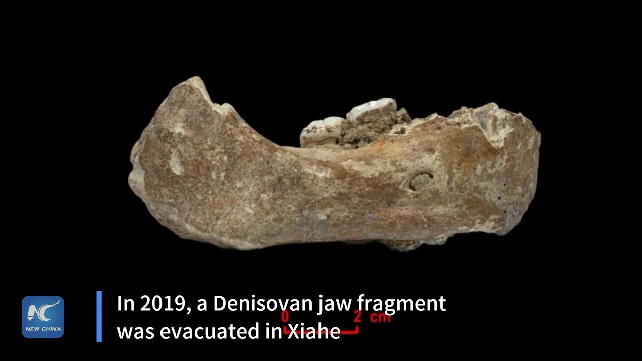 Ancient Denisovan DNA found in Chinese karst cave