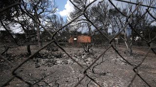 Feuer in Griechenland: Ehepaar steht vor zerstörtem Lebenstraum