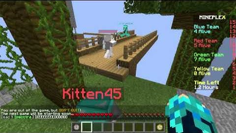 Hacker on Mineplex Bridges