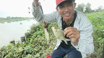 Ngày Hồ dầu Tiếng đống đập sông Sải Gòn bão cá