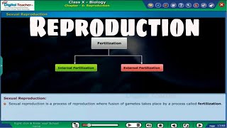 Sexual Reproduction - Male and Female Reproductive System, Class 10 Biology