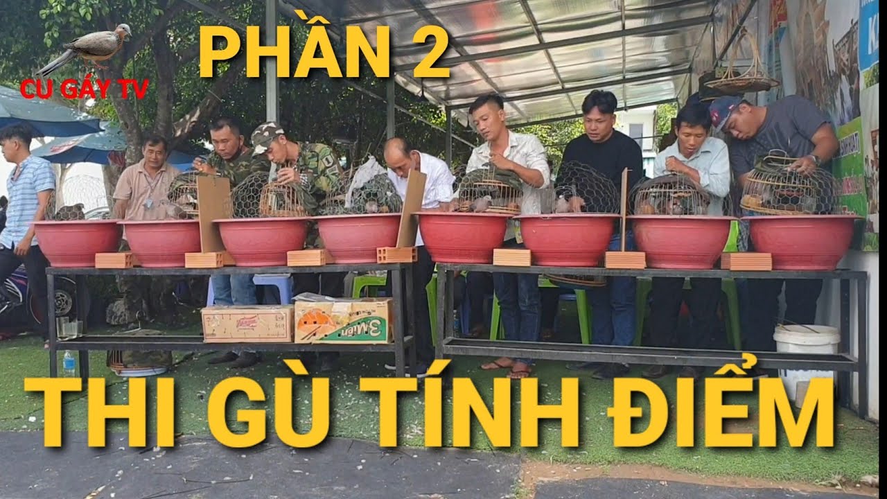 Hội Thi Cu Gáy Tỉnh Long An  | Thi Gù Tính Điểm -  Phần 3.