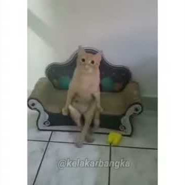 Wow.. kelakar bangka asekkk