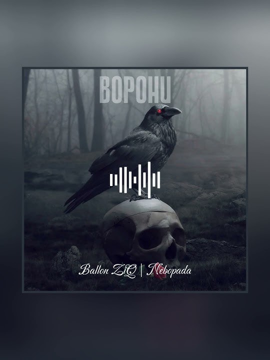 Ballon ZiQ, Nebopada - Ворони