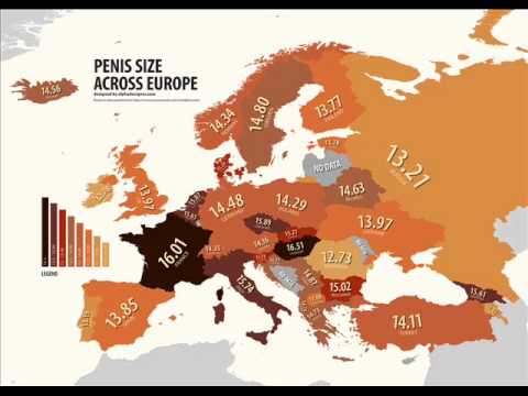 pénisz hossza európai