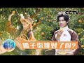 《远方的家》 20231222 旅行加速度|CCTV中文国际