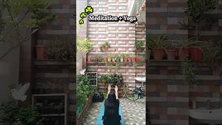 Morning Yoga Routine 🧘‍♀️☘️ #meditation #yoga #positivity #focus #shorts #trending
