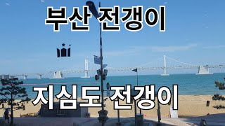 부산 전갱이 구경 왔습니다ㅎ과연 부산에서 전갱이를 낚을수 있을까요?  지심도 전갱이 루어 낚시  #fishing #아징#올림픽코르토#ajing#부산#광안리