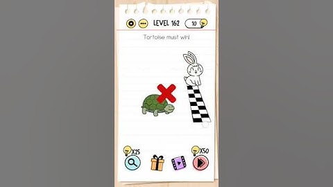 Brain test level 162 Tortoise must win!